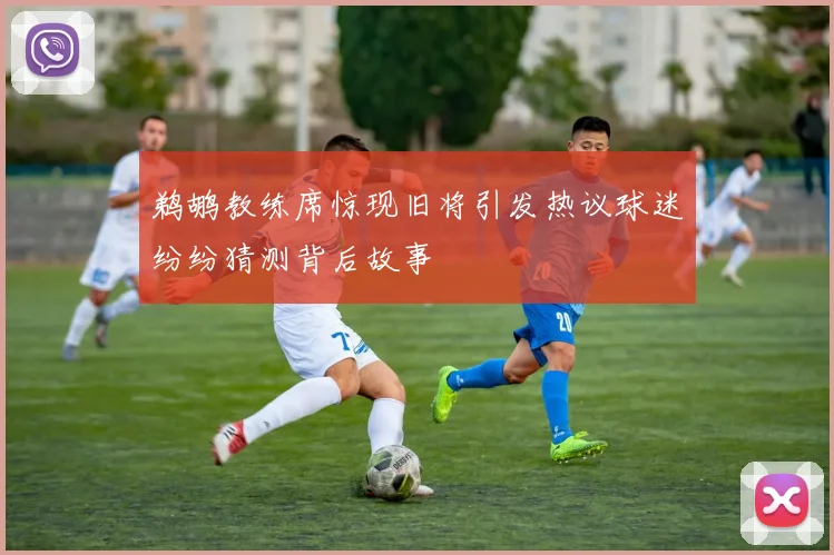 鹈鹕教练席惊现旧将引发热议球迷纷纷猜测背后故事